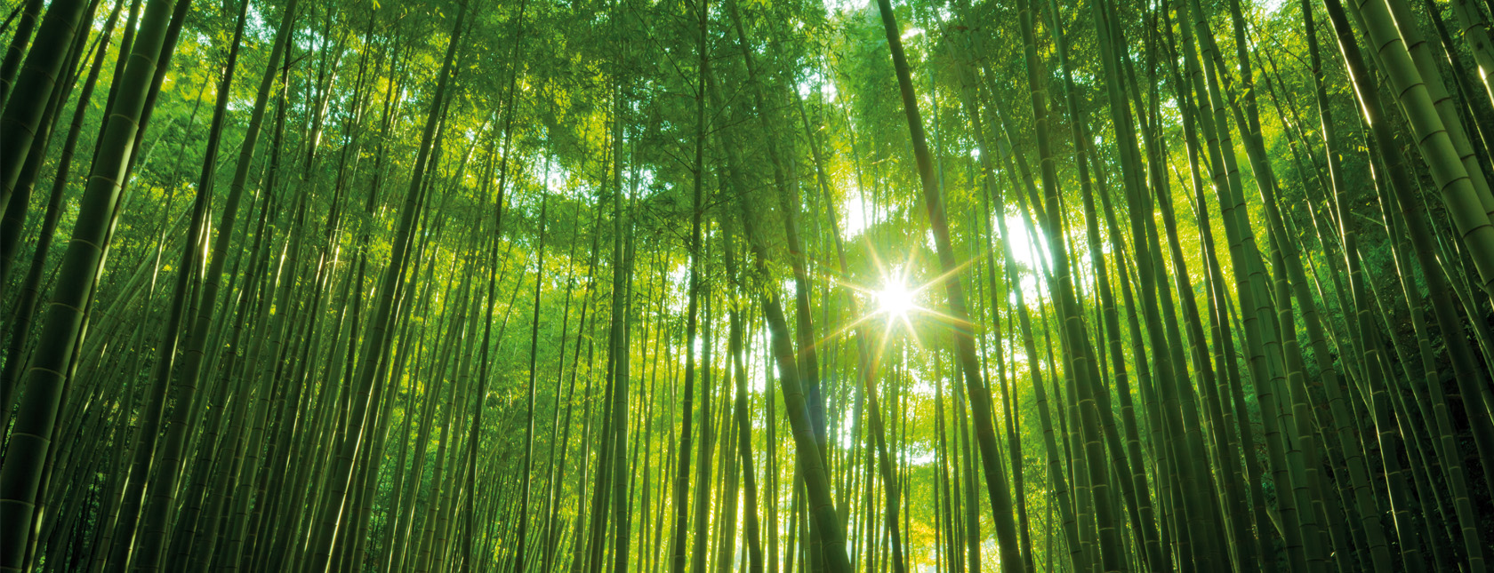 Synergi Life - ESG software solution