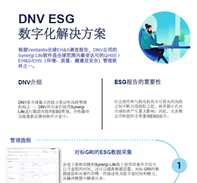 DNV ESG解决方案管理流程