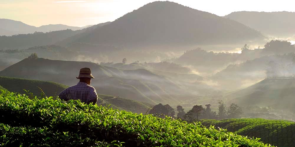 Third party risk management software from DNV GL