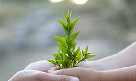 Synergi Life - 质量环境健康安全(QHSE/EHS)和企业风险管理软件