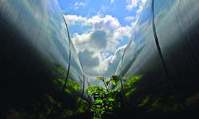 Synergi Pipeline - 管道完整性管理软件解决方案