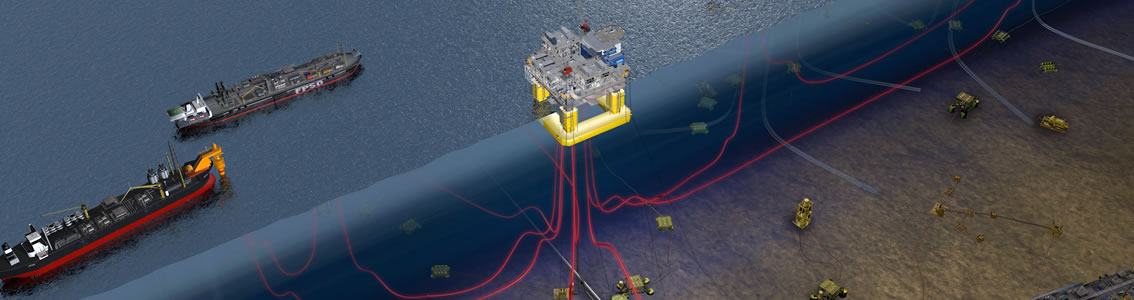 Verification of subsea facilities