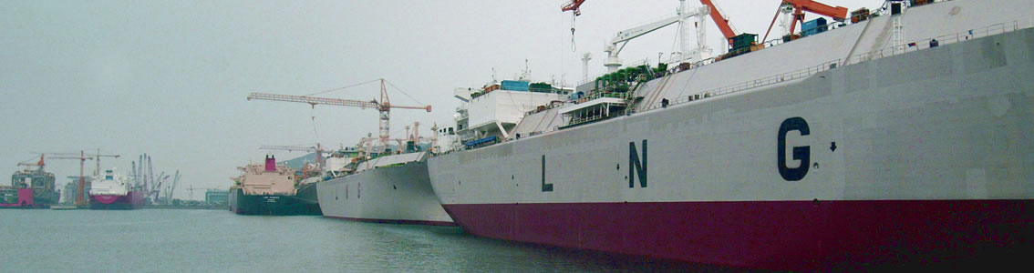 Verification of offshore and onshore LNG and gas facilities