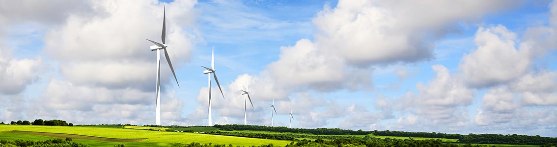 Energy Management survey from DNV GL