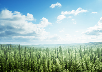 环境审核发现摘要