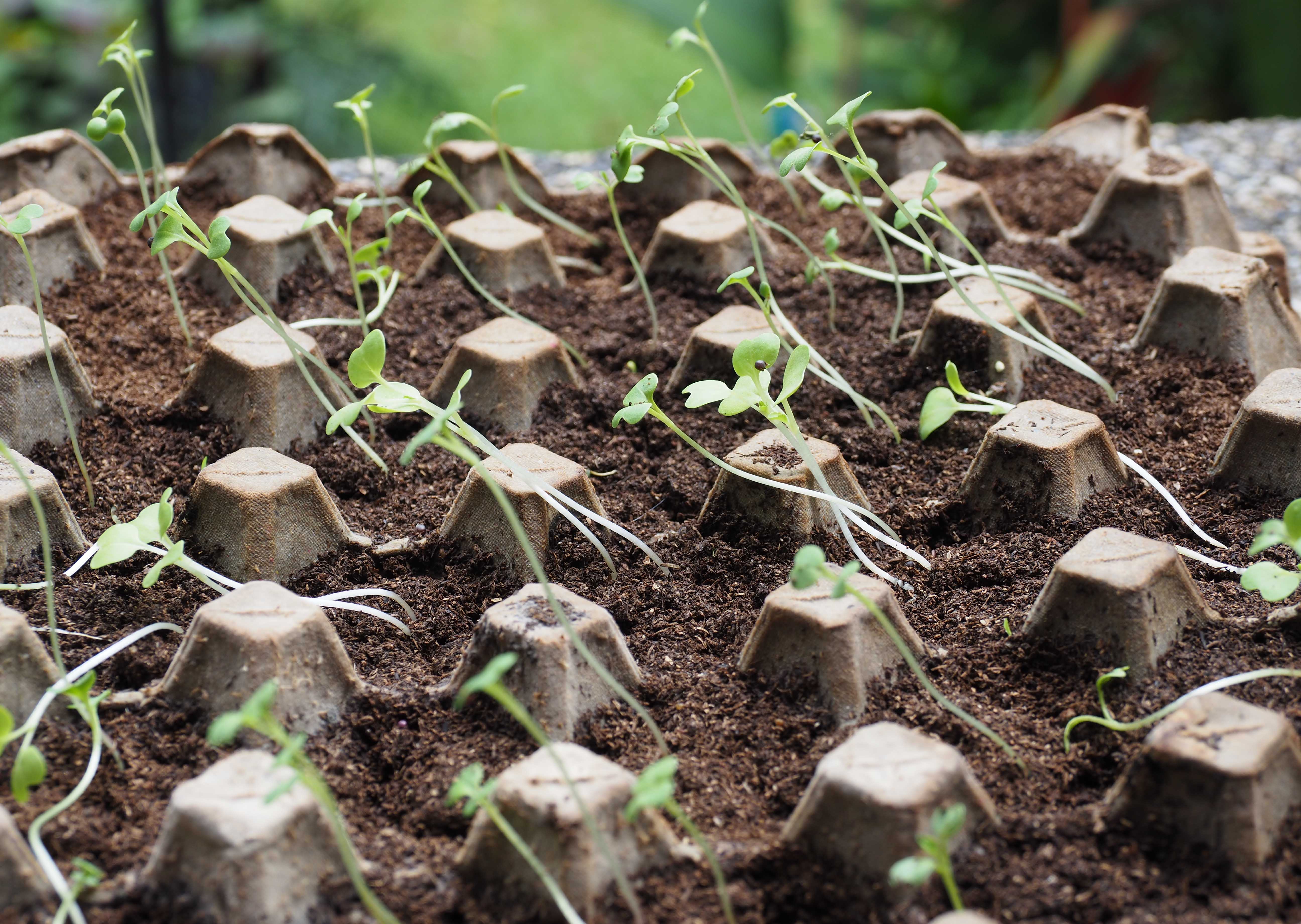 Espresso 调查：环境审核发现速览 - 报告