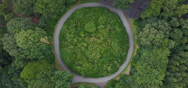 How are companies transitioning towards the circular economy